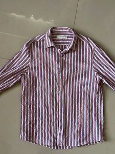 Striped Button-Down Shirt