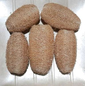 Natural Loofah Sponges (Set of 5)