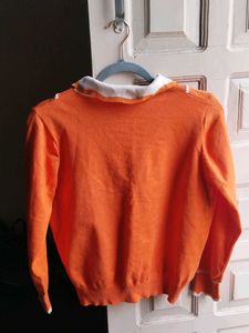 Orange Collared Knit Crop Top for Women