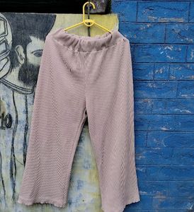 Plazo Pant