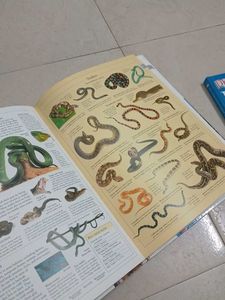 DK Illustrated Family Encyclopedia Vol. 13
