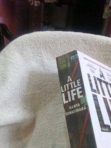 A Little Life by Hanya Yanagihara