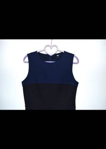 Chic Two-Tone Sleeveless Dress