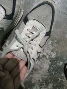 Sport Shoes