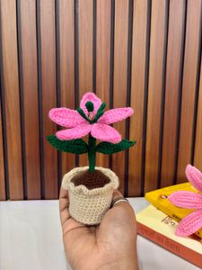 Handmade Crochet Lily Pot