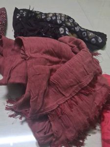 Vibrant Ethnic Dupatta Collection of 6