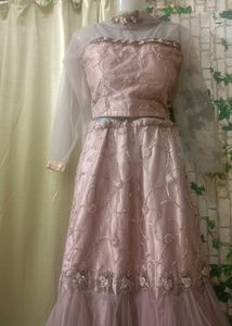 Fishcut  Lehenga Choli