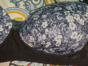 Floral Print Padded Bra