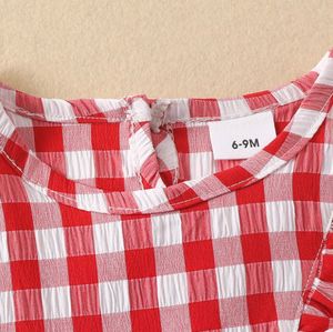 Girl Red Checkered Blouse And Skirt Set