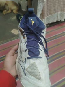 Mizuno White &amp; Blue Sport Shoes