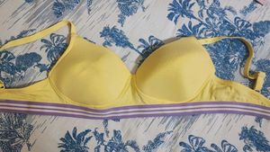 Zudio Padded Bra Bundle - 38B