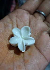 Set of 10  Flower Hair Claw Clips
