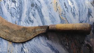 Trees Cutting Knife