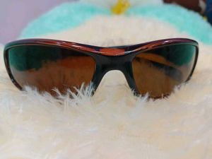 Brown Lens Sunglasses