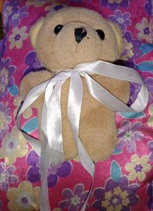 Cute Plush Teddy Bear