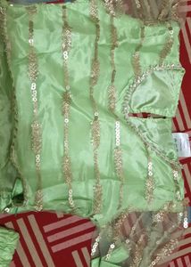 Beautiful Green Sequined Lehenga Choli