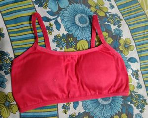 Bra Combo Of 3 Pack