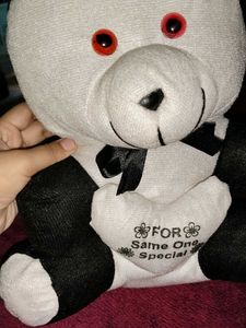 Teddy 🧸 panda 🐼