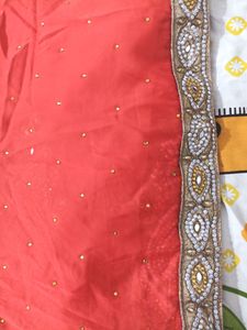 Coral Saree with Embellished Border For Wedding