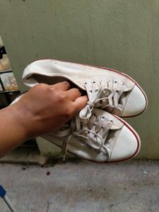 converse like white shoes