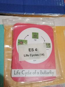 Flash Cards Each System
