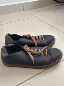 rare rabbits shoes