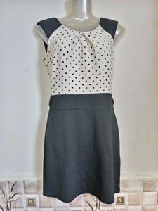 Chic Polka Dot &amp; Black Skater Dress