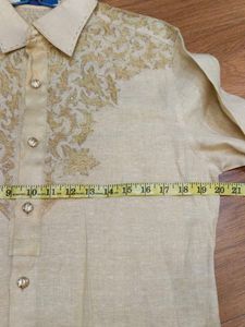 Elegant Embroidered Shirt