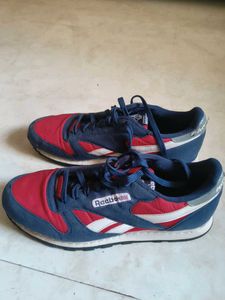 Reebok Sneakers