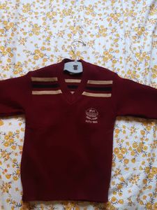 Sweater, Size 24