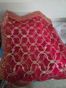 Red Embroidered Net Dupatta
