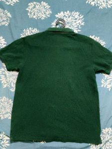 Men's Green Polo Shirt