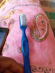Tooth Brush