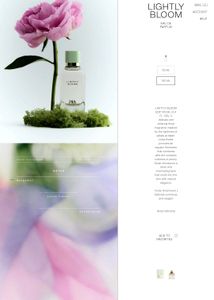 Zara Lightly Bloom Perfume