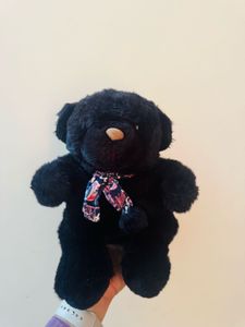 Black Teddy Bear Plush Toy