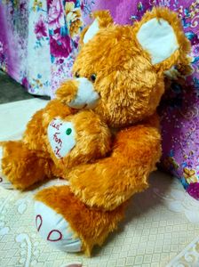 Orange Teddy Bear