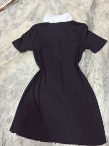 Classic Black Collared Dress