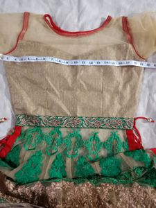 Elegant Green &amp; Gold Anarkali Suit