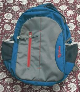 Stylish Blue & Gray Backpack for Everyday Use