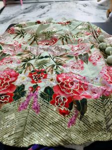 Embroidered Sleeveless Blouse and lehenga