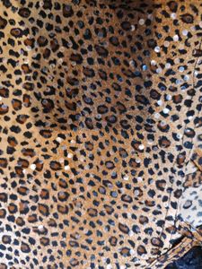 Leopard Print Spaghetti Strap Crop Top