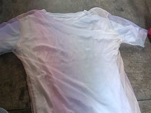 Pastel Ombre Mesh Sleeve Top
