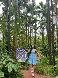 Chic Blue Gingham Summer Dress