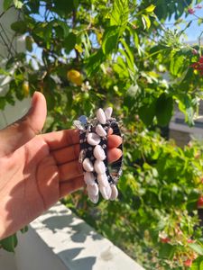 Boho Chic Cowrie Shell &amp; Coin Bangles