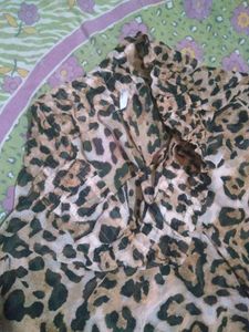 Leopard Print Palazzo Pants