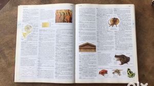 Illustrated Oxford Dictionary