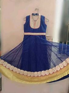 Elegant Blue Anarkali Dress