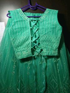 Stunning Green Embroidered Lehenga Choli Set