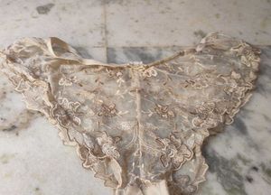 Lace Trimmed Briefs
