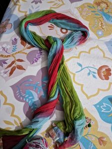 Elegant multicolor striped palazzo with dupatta